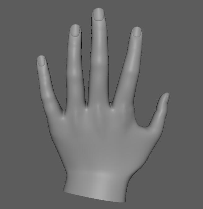 Hand Model