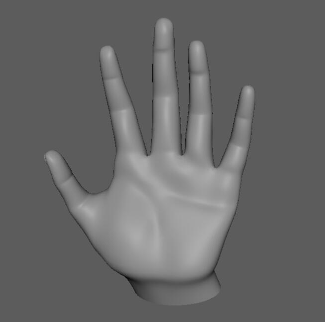 Hand Model