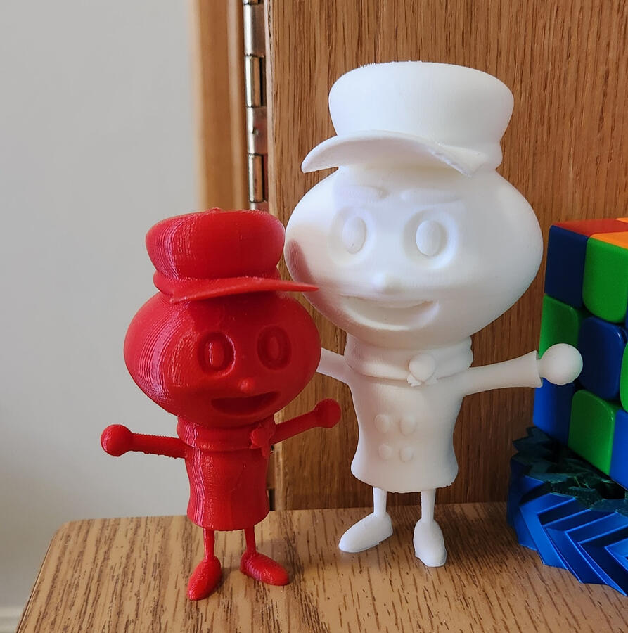 Printed Model