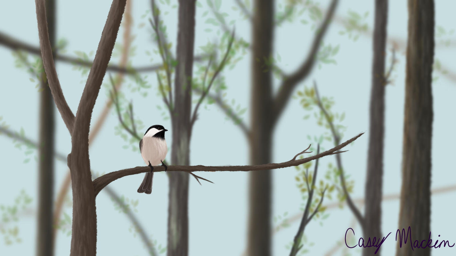 Illustration